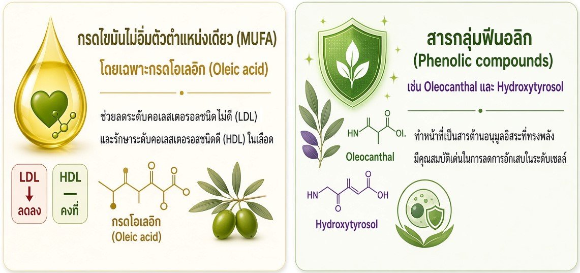 องค์ประกอบสำคัญของน้ำมันมะกอกสกัดเย็นคุณภาพสูง