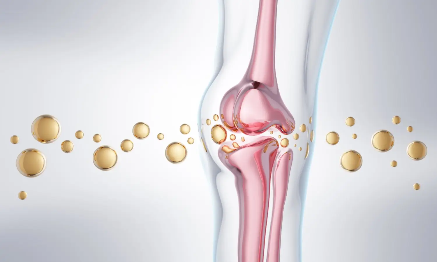 Collagen Type II สารอาหารสำคัญในการบำรุงข้อและกระดูก