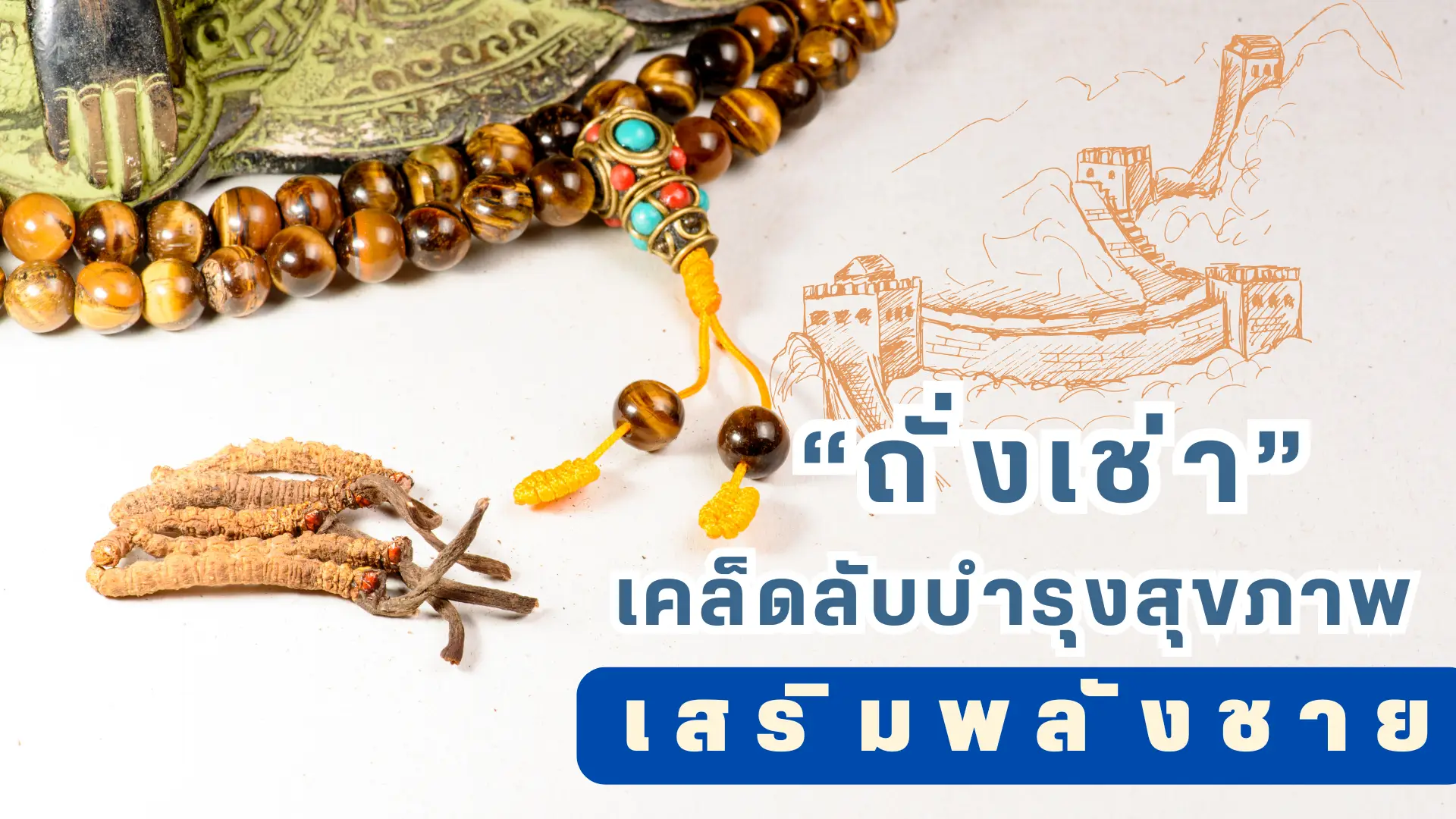 Cordyceps: A secret to maintaining health and increasing male power