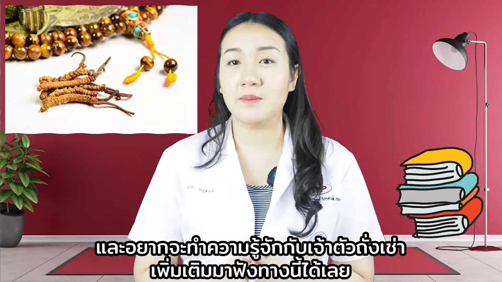 Cordyceps Extract by Ploysai