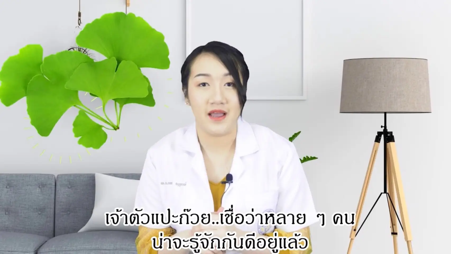 Ginkgo Biloba by Ploisai