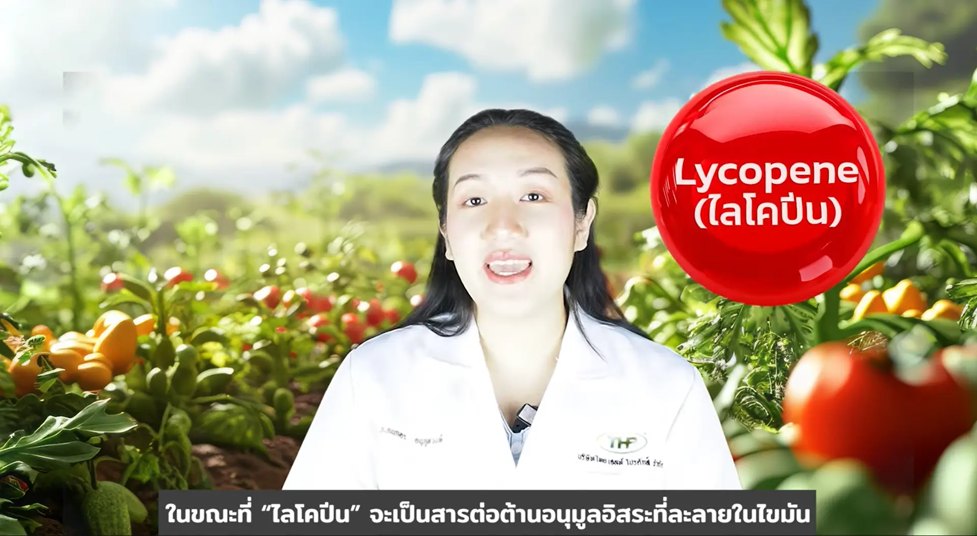 Lycopene from Tomato by Ploysai