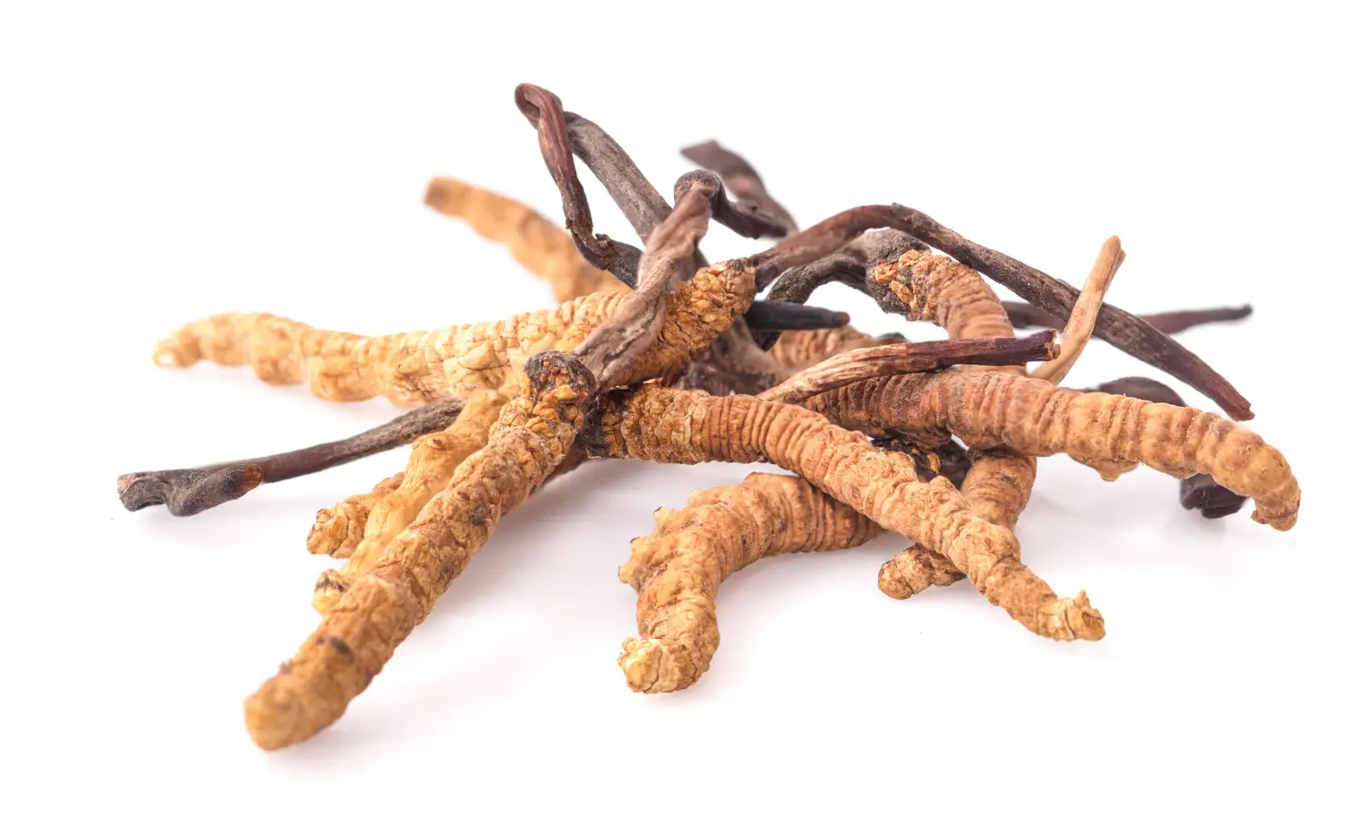 The king of herbs restores performance and increases physical energy.