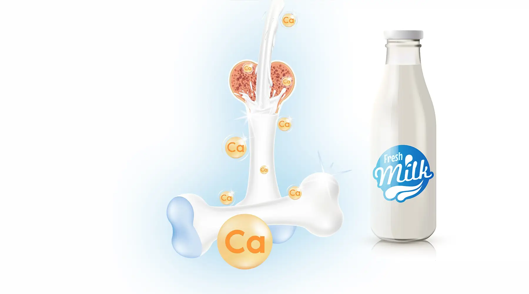 THE ROLE OF CALCIUM AND VITAMIN D